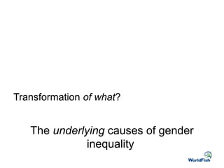 A Gender Transformative Approach: Why what and how?