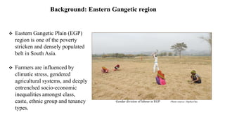 Gendered challenges of bargaining in agricultural value chain in the Eastern Gangetic Plains