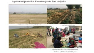 Gendered challenges of bargaining in agricultural value chain in the Eastern Gangetic Plains