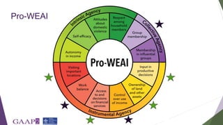 Understanding empowerment among retailers in the informal milk sector in peri-urban Nairobi: Informing an adaptation of the project-level Women's Empowerment in Agriculture Index