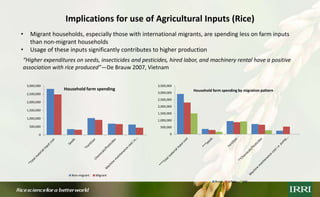 Rural outmigration-feminization-agricultural production nexus: Case of Vietnam