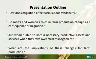 Rural outmigration-feminization-agricultural production nexus: Case of Vietnam