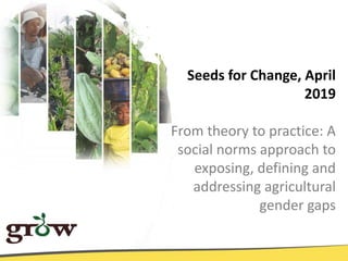 From theory to practice: a social norms approach to exposing, defining and addressing agricultural gender gaps