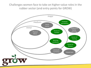 From theory to practice: a social norms approach to exposing, defining and addressing agricultural gender gaps