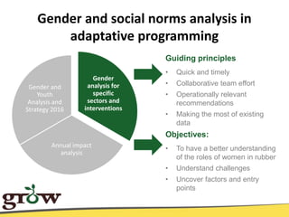 From theory to practice: a social norms approach to exposing, defining and addressing agricultural gender gaps