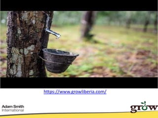 From theory to practice: a social norms approach to exposing, defining and addressing agricultural gender gaps