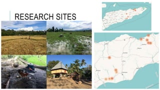 Assessing livestock husbandry, gendered decision-making and dietary quality among smallholder households in rural Timor-Leste