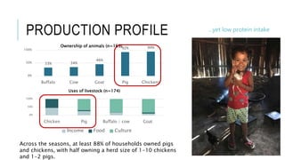 Assessing livestock husbandry, gendered decision-making and dietary quality among smallholder households in rural Timor-Leste