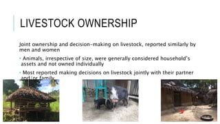 Assessing livestock husbandry, gendered decision-making and dietary quality among smallholder households in rural Timor-Leste