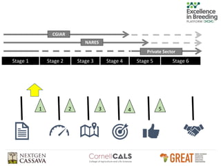 Gender-responsive breeding and product profiles - Developing gender-responsive plant and animal breeding programs: principles, methods and tools