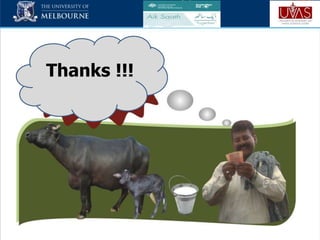 Role of innovation networks to support the livestock extension systems of Pakistan