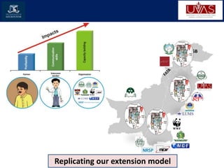 Role of innovation networks to support the livestock extension systems of Pakistan