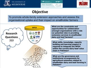 Role of innovation networks to support the livestock extension systems of Pakistan