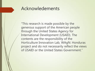 Gender-transformative farmer field schools in Honduras