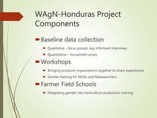 Gender-transformative farmer field schools in Honduras