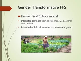 Gender-transformative farmer field schools in Honduras