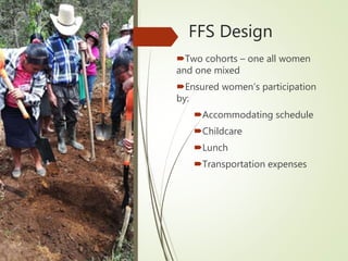 Gender-transformative farmer field schools in Honduras
