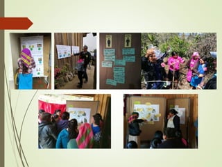 Gender-transformative farmer field schools in Honduras