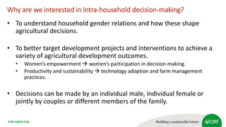 Intra-household decision-making processes: What the qualitative and quantitative data tell us