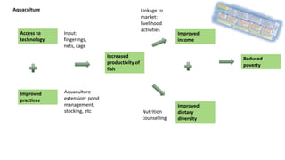 Integrating gender in aquaculture and small scale fisheries agri-food systems research: Pitfalls, principles & practical ways forward