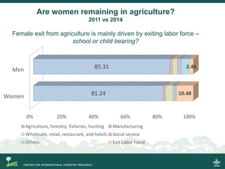 Scrutinizing the 'feminization of agriculture' hypothesis: trajectories of labour force participation in agriculture in Indonesia