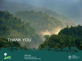 Scrutinizing the 'feminization of agriculture' hypothesis: trajectories of labour force participation in agriculture in Indonesia