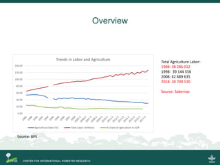 Scrutinizing the 'feminization of agriculture' hypothesis: trajectories of labour force participation in agriculture in Indonesia