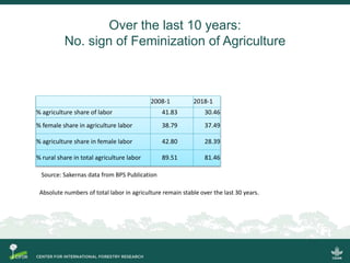 Scrutinizing the 'feminization of agriculture' hypothesis: trajectories of labour force participation in agriculture in Indonesia