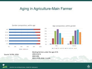 Scrutinizing the 'feminization of agriculture' hypothesis: trajectories of labour force participation in agriculture in Indonesia