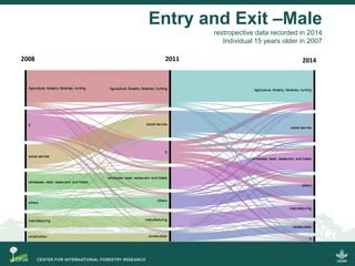 Scrutinizing the 'feminization of agriculture' hypothesis: trajectories of labour force participation in agriculture in Indonesia