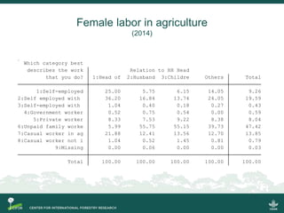Scrutinizing the 'feminization of agriculture' hypothesis: trajectories of labour force participation in agriculture in Indonesia