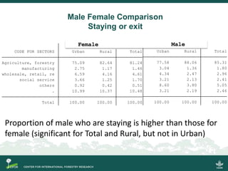 Scrutinizing the 'feminization of agriculture' hypothesis: trajectories of labour force participation in agriculture in Indonesia