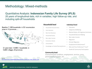 Scrutinizing the 'feminization of agriculture' hypothesis: trajectories of labour force participation in agriculture in Indonesia