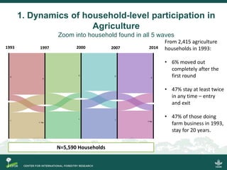 Scrutinizing the 'feminization of agriculture' hypothesis: trajectories of labour force participation in agriculture in Indonesia