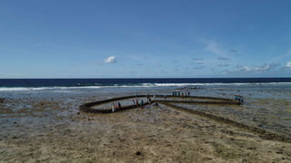 Empowering women in seaweed utilisation for food: A cross-country peer-led approach