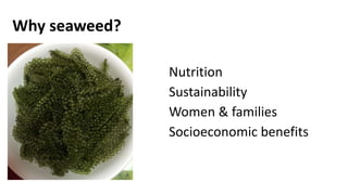 Empowering women in seaweed utilisation for food: A cross-country peer-led approach