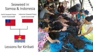 Empowering women in seaweed utilisation for food: A cross-country peer-led approach
