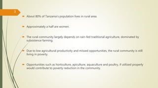Rural transformation opportunities