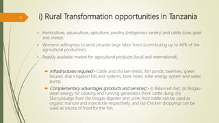 Rural transformation opportunities