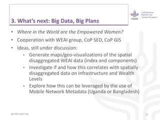CGIAR Collaborative Platform for Gender Research - Gender meets big data