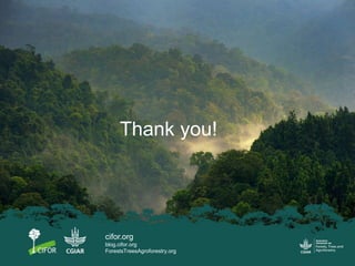 Forest landscape restoration in Kenya: Addressing gender equality | PPTX