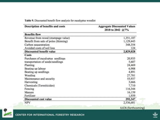 Forest landscape restoration in Kenya: Addressing gender equality
