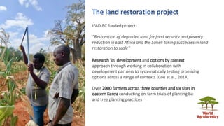 Land restoration and changing gender dynamics in the drylands of eastern Kenya