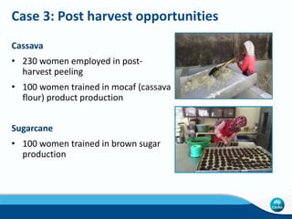 What is possible in women's economic empowerment at the research business interface: the story of innovation in agricultural systems in Indonesia