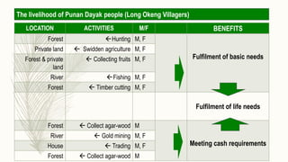 Gender dimensions in the complexity of managing forest resource: learning from Berau District, Indonesia