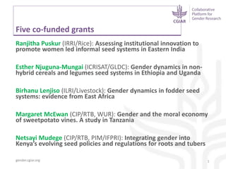 Gender dynamics in seed systems