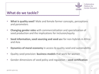 Gender dynamics in seed systems