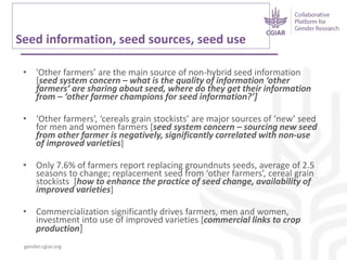 Gender dynamics in seed systems