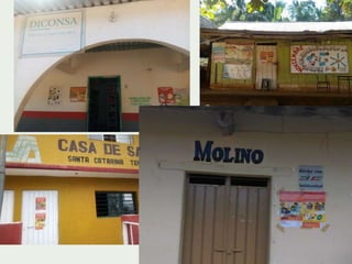 Catalyzing gender-forests action