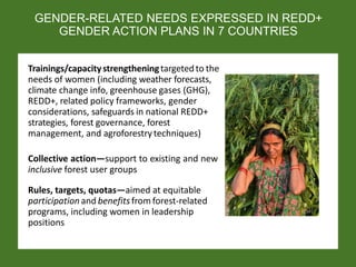 Catalyzing gender-forests action